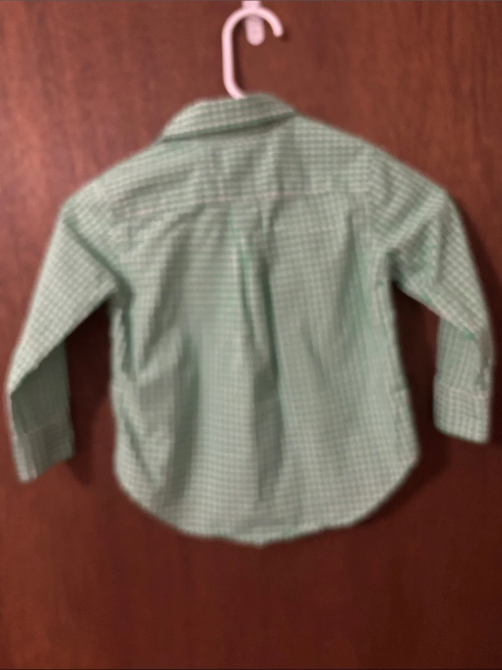 Ralph Lauren Green Gingham Button-Down Shirt with Pink Pony
